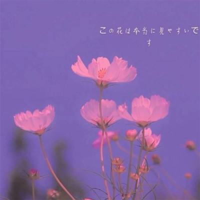 匠木测试服下载